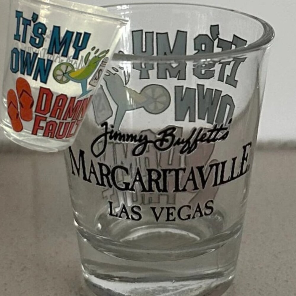 It's My Own Damn Fault - Shot Glass